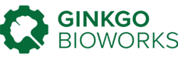 Ginkgo